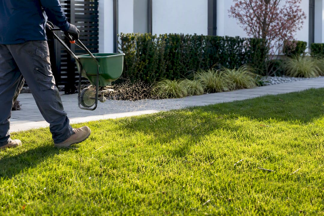 What Homeowners Actually Pay for Lawn Care in 2026
